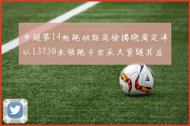 中超第14轮跑动距离榜揭晓周定洋以13730米领跑卡尔采夫紧随其后